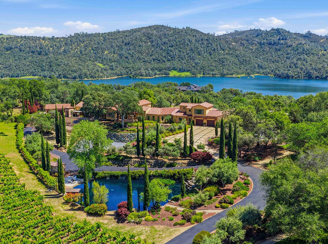 Vineyard And Lake Views