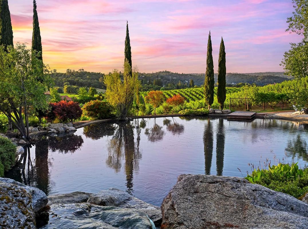 Vineyard And Lake Views