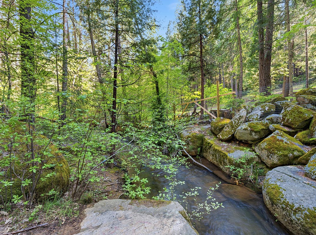 Creekside Nevada City Retreat