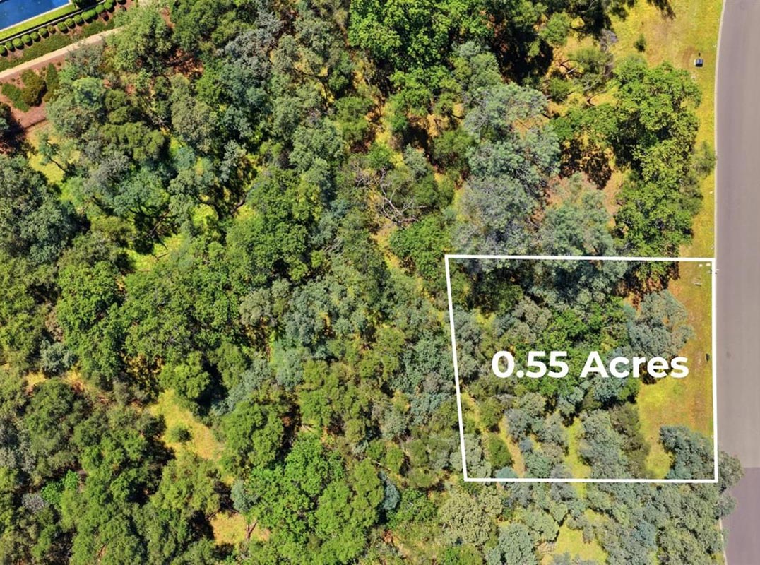 Folsom Lake View Opportunity