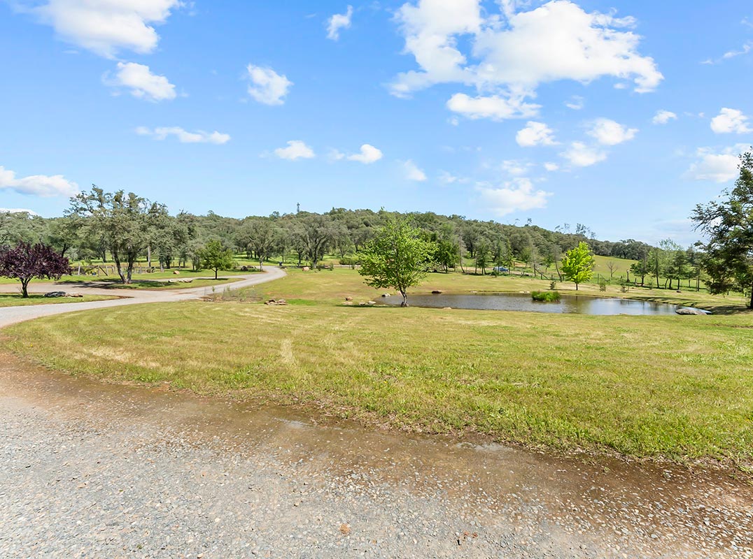 Sierra Foothills Sanctuary on 20+ Acres