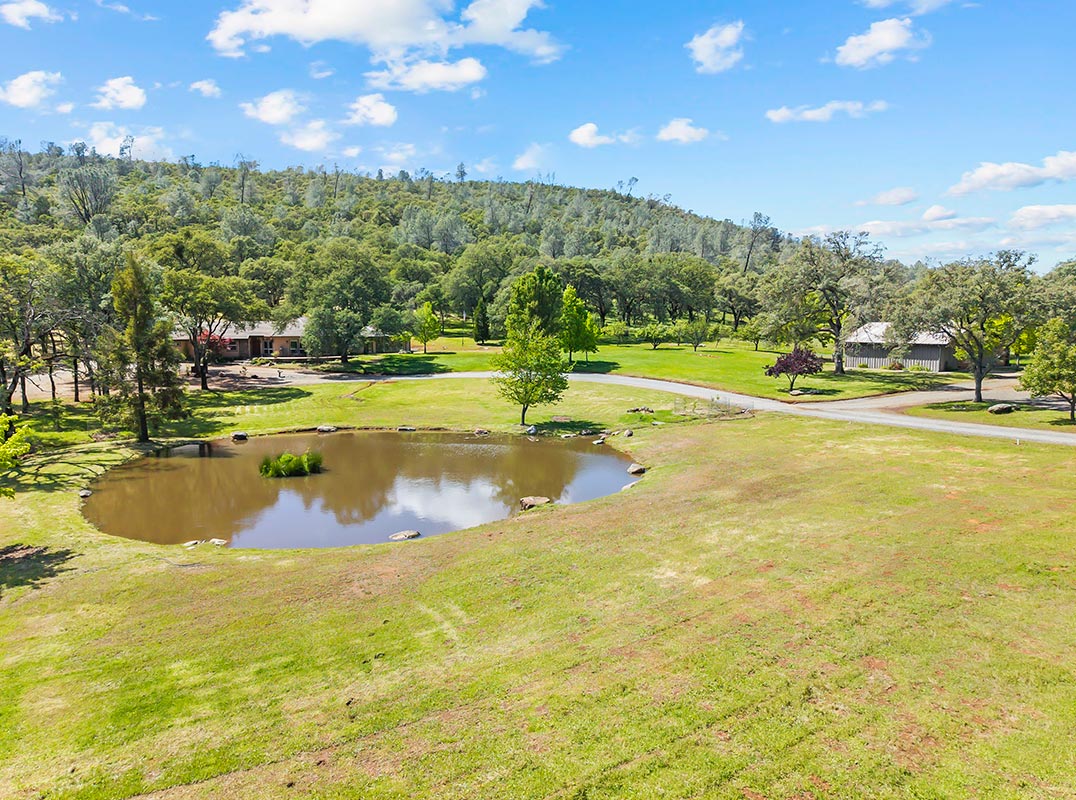 Sierra Foothills Sanctuary on 20+ Acres