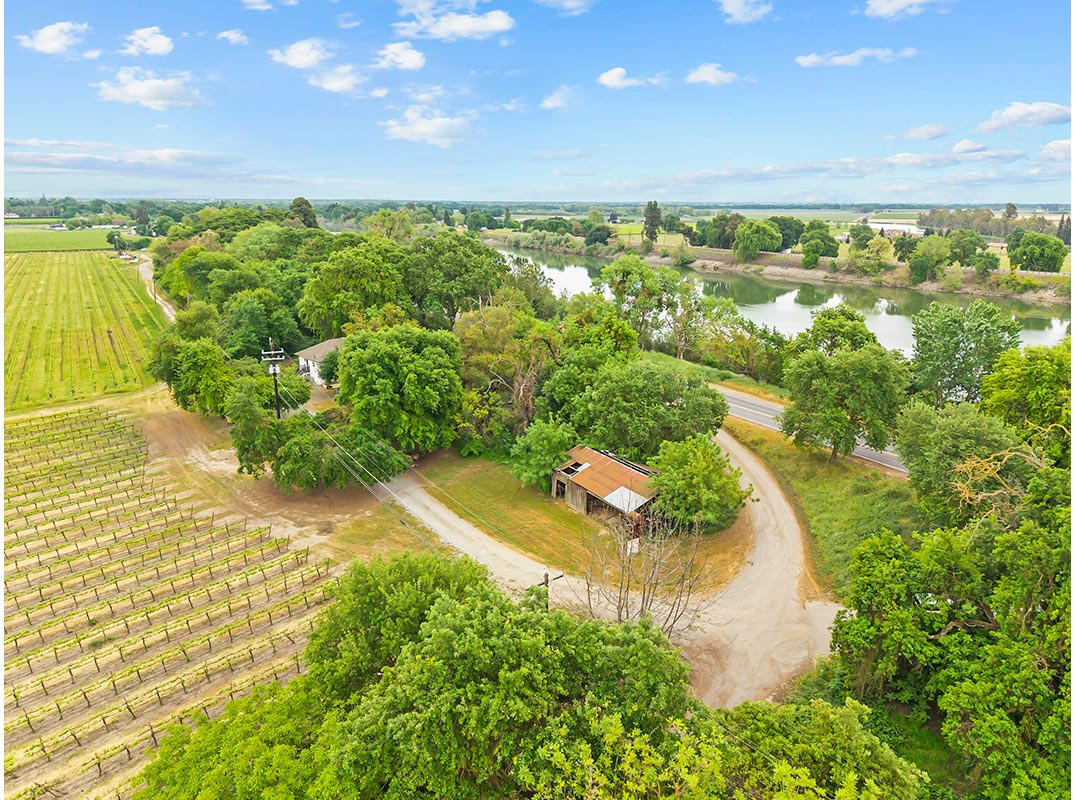 Income-Producing Vineyard Estate, Clarksburg AVA