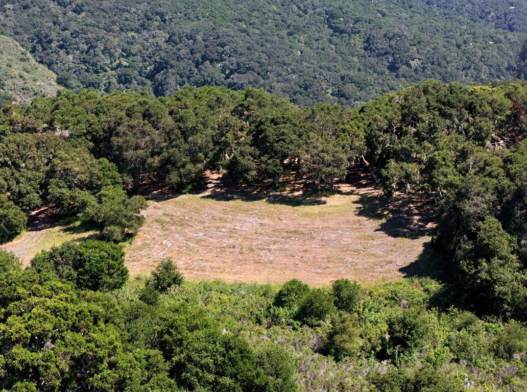 Dramatic South-Facing Views of Robinson Canyon & Landmark Oaks