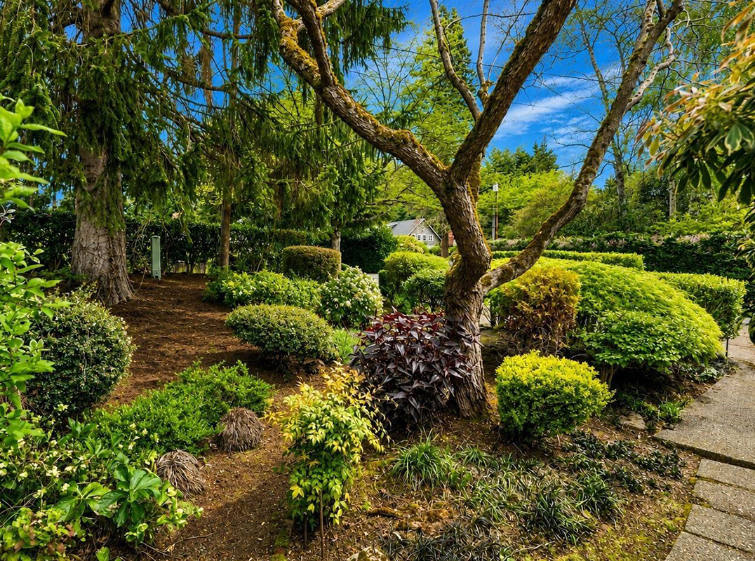 Exceptional Medina Homesite