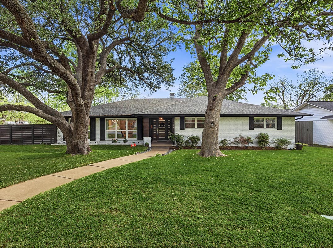 Dallas Buzz & Laid Back Comfort