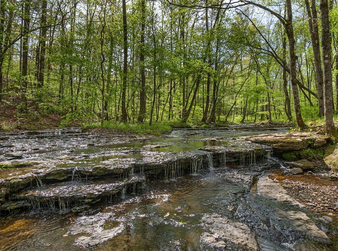 92-Acre Retreat Near Columbia