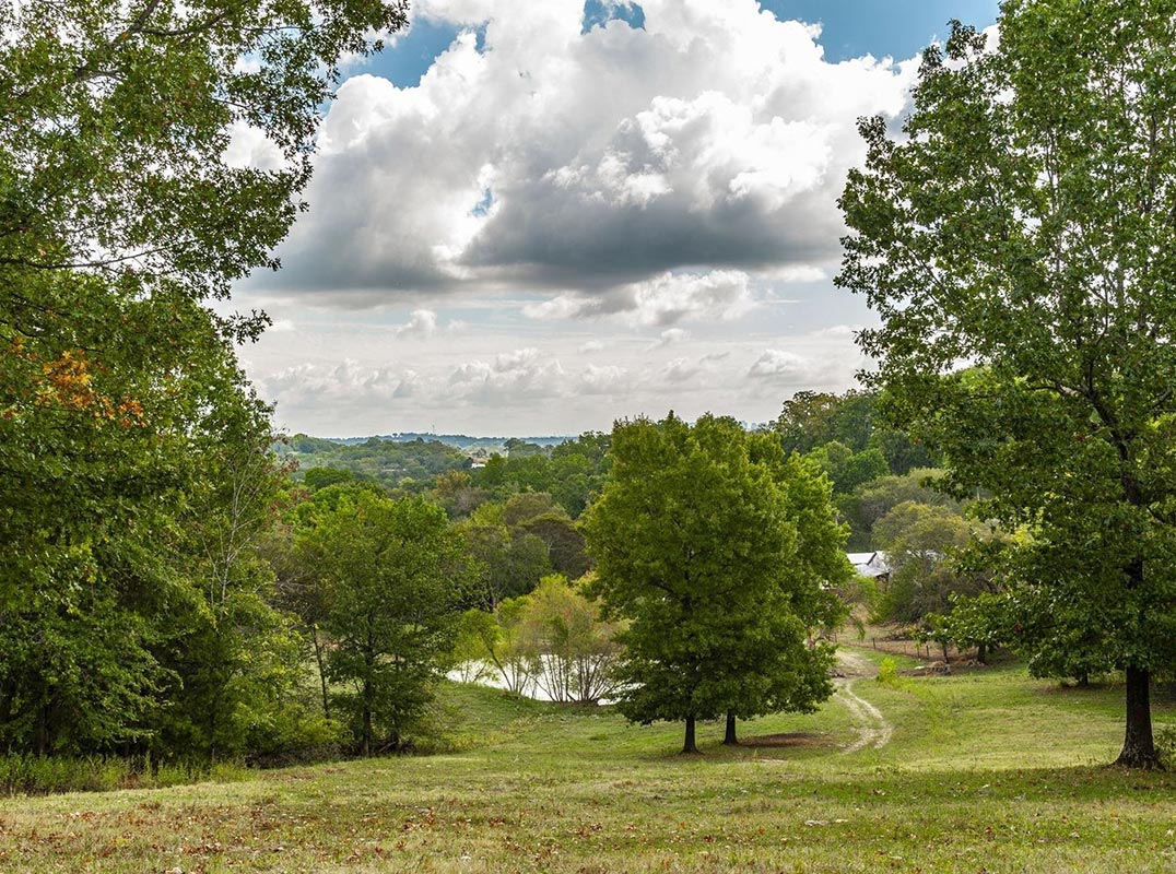 Scottsboro Hollow Farm