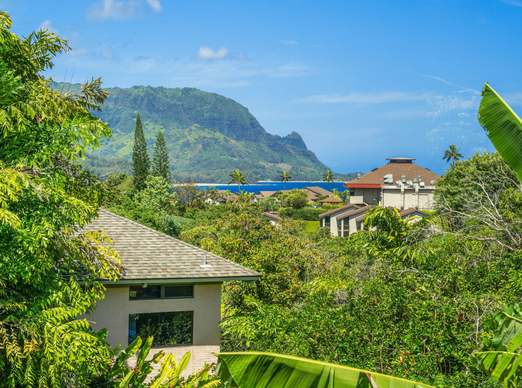 4204 Kekuanaoa Ln