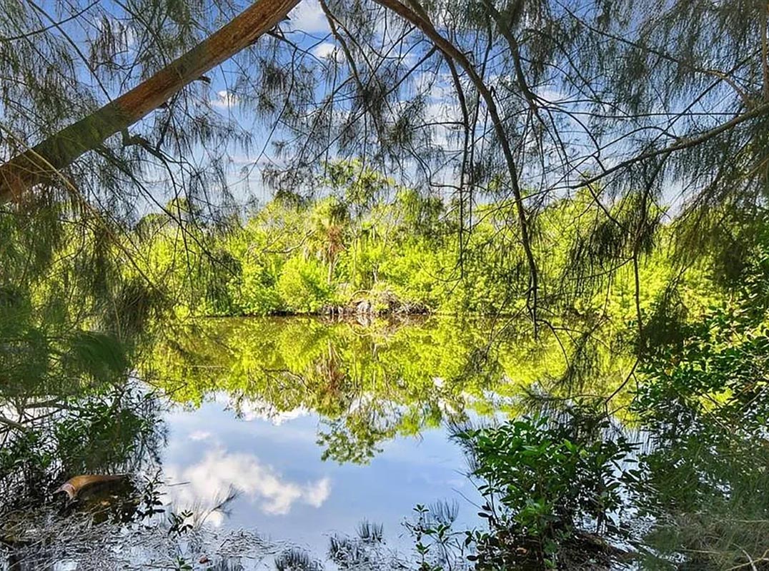 A Rare Tampa Waterfront Investment