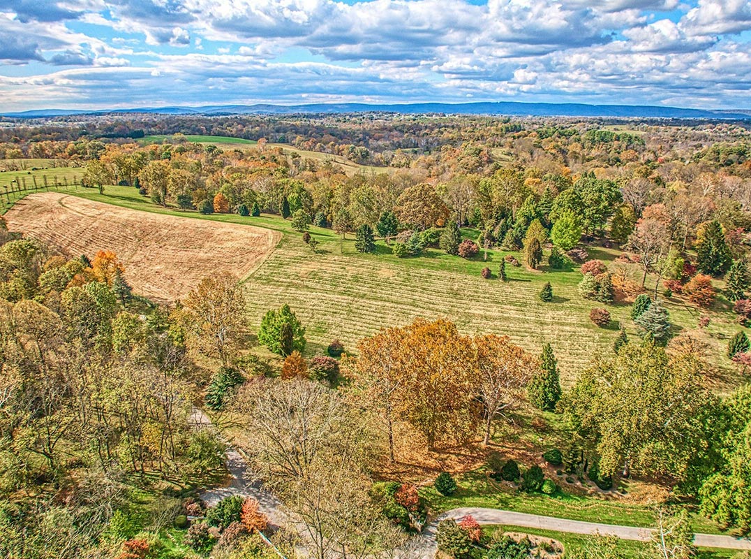 Birchwood Estate Blends Visionary Design with Timeless Virginia Beauty