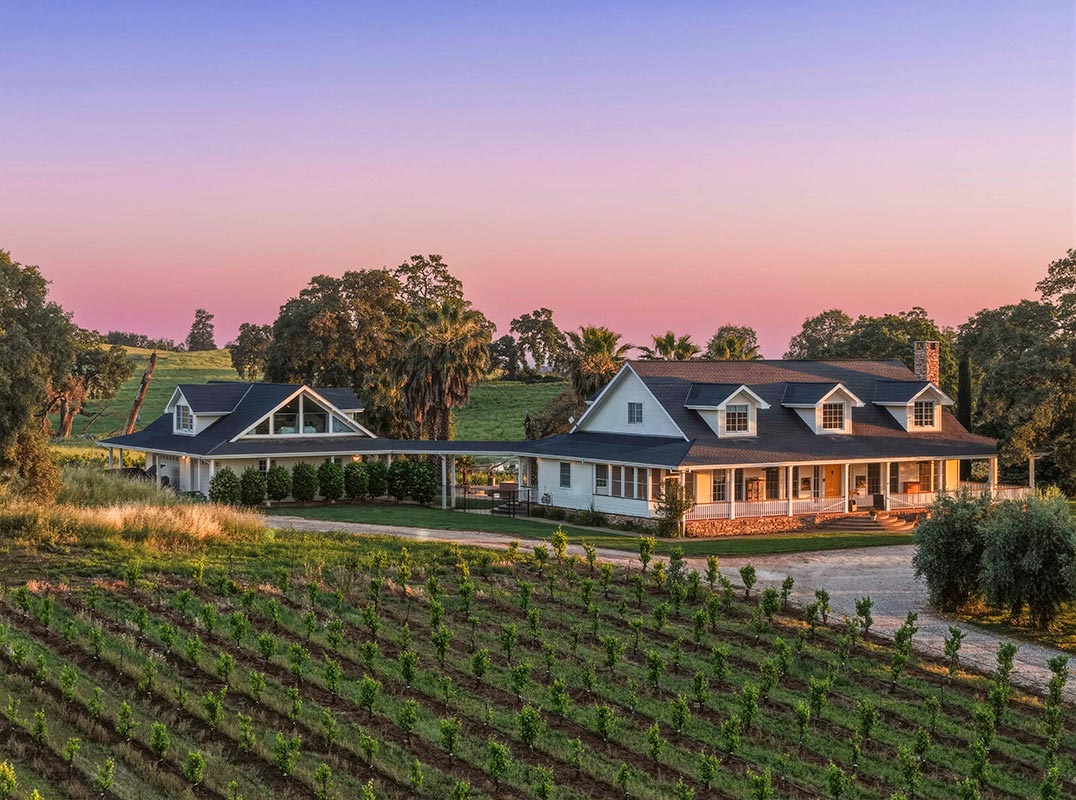 Shenandoah Valley Vineyard Estate