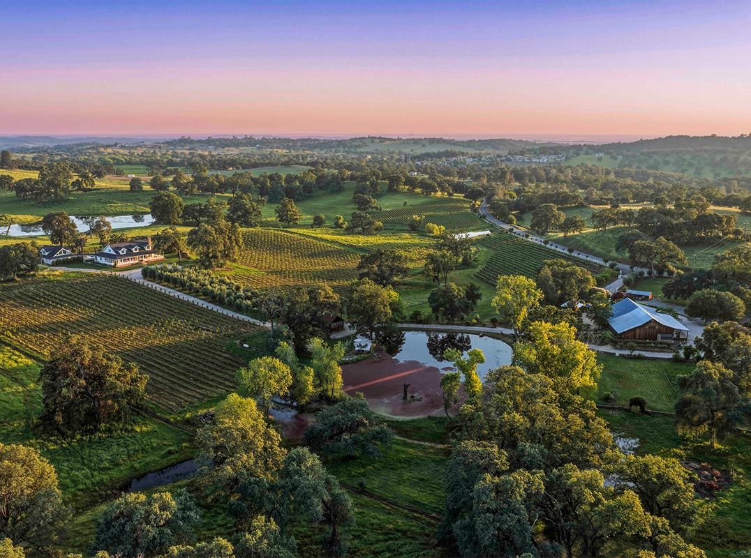 Shenandoah Valley Vineyard Estate