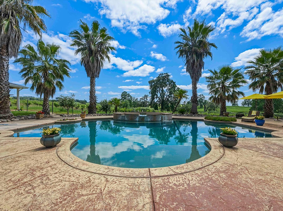 Shenandoah Valley Vineyard Estate