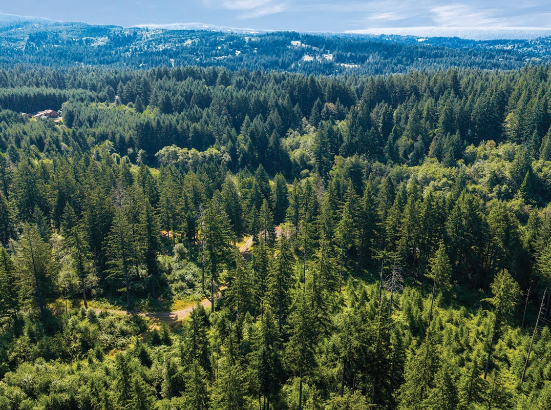 23 PRIVATE ACRES ON LIVINGSTON MOUNTAIN