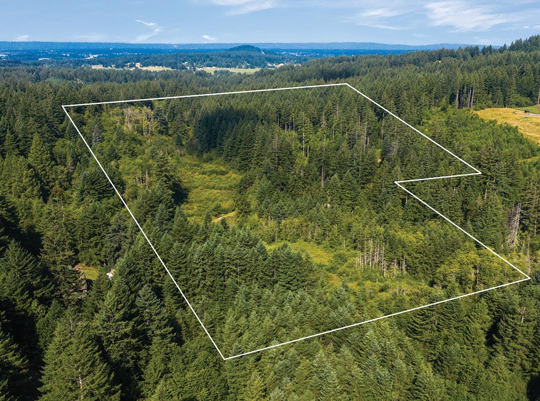 23 PRIVATE ACRES ON LIVINGSTON MOUNTAIN