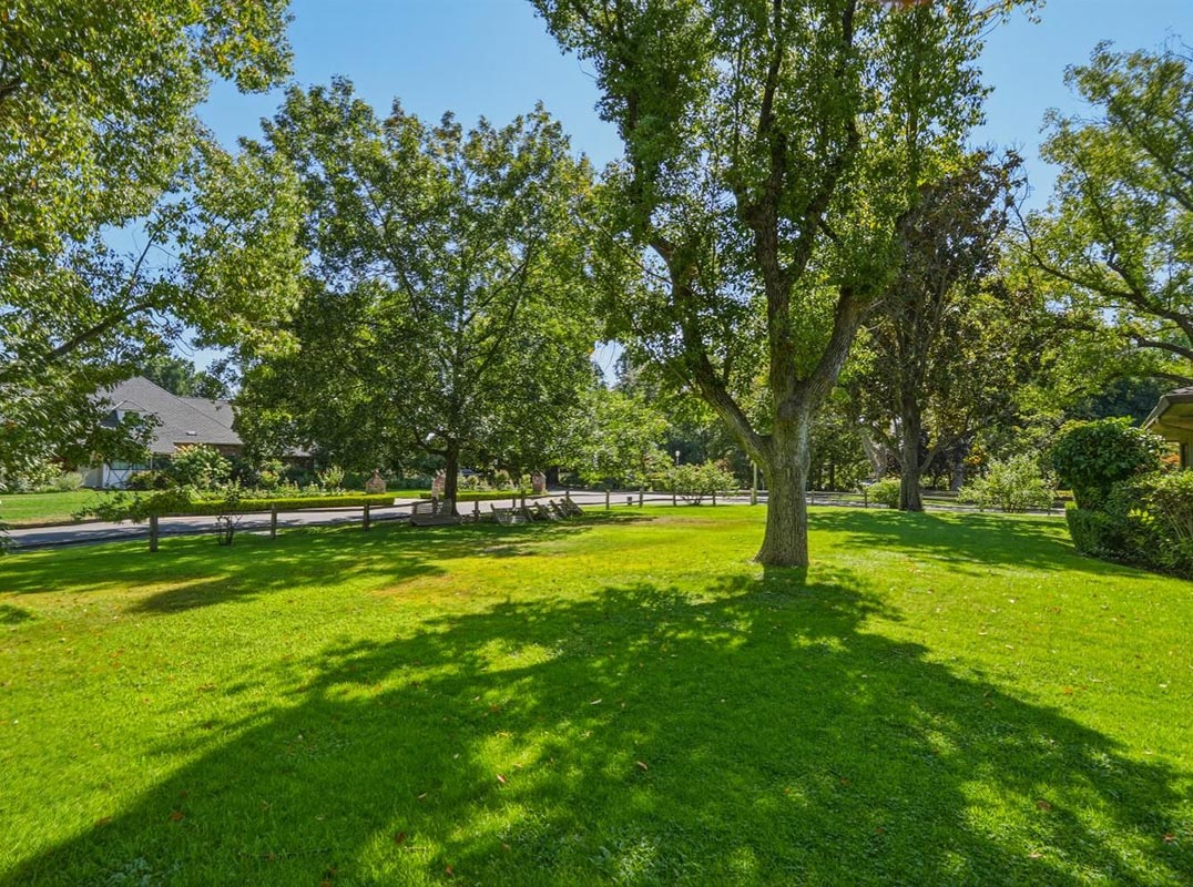 In The Heart Of Old Sierra Oaks