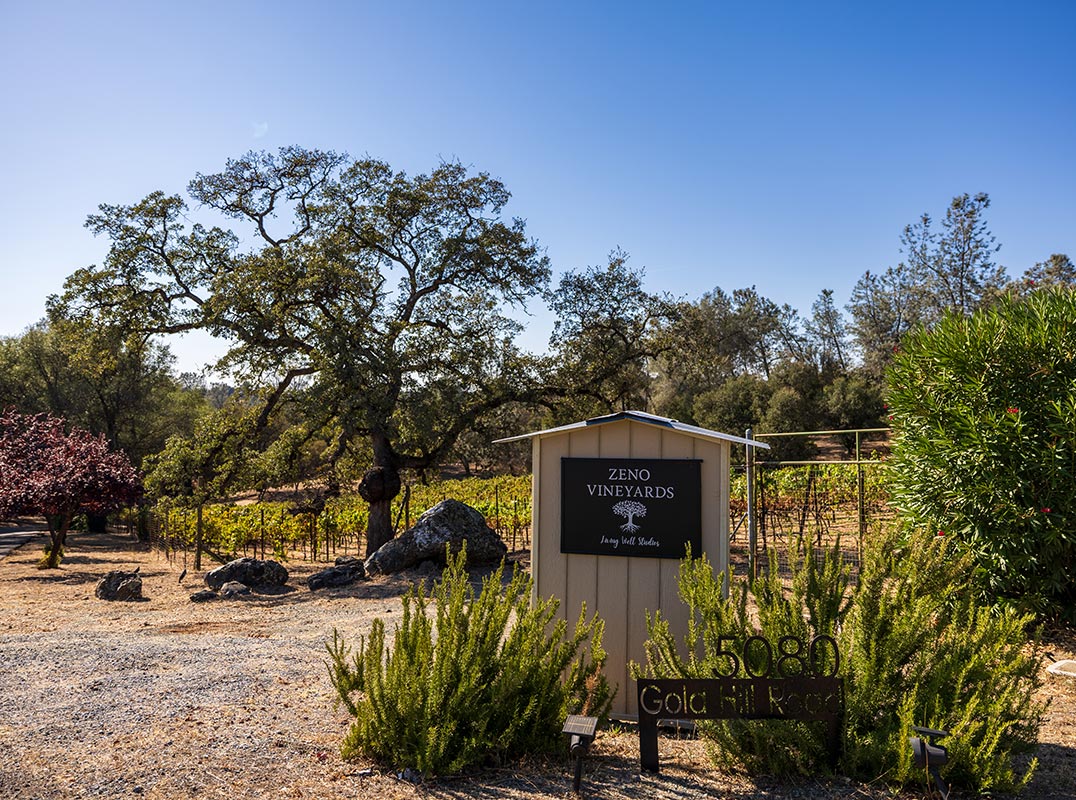 Elegant Single-Story Vineyard Retreat