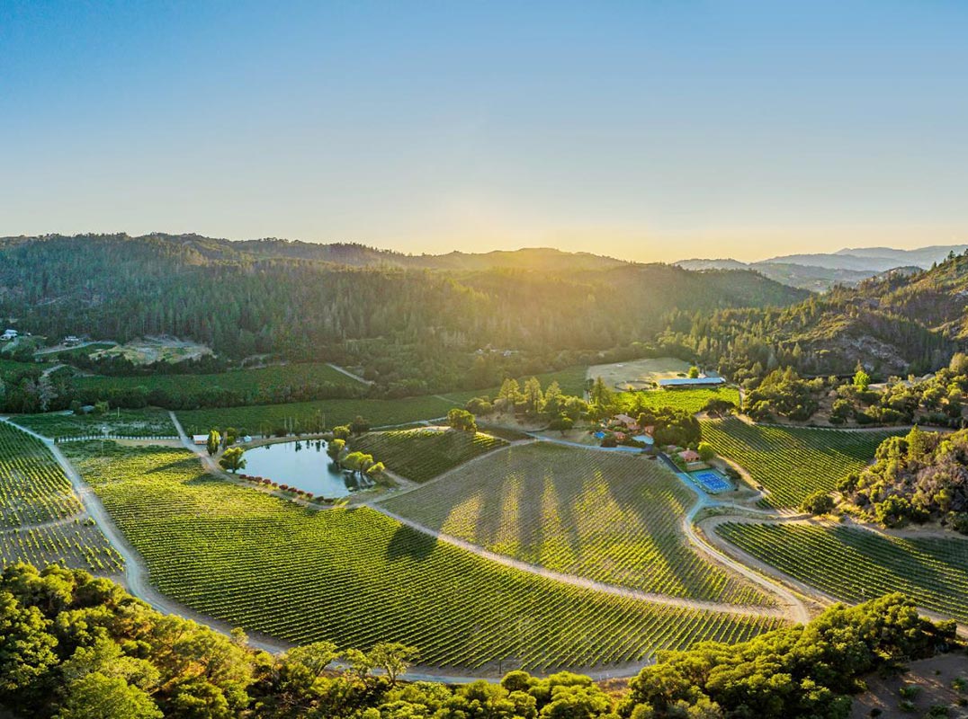Bellissimo Vineyard Estate