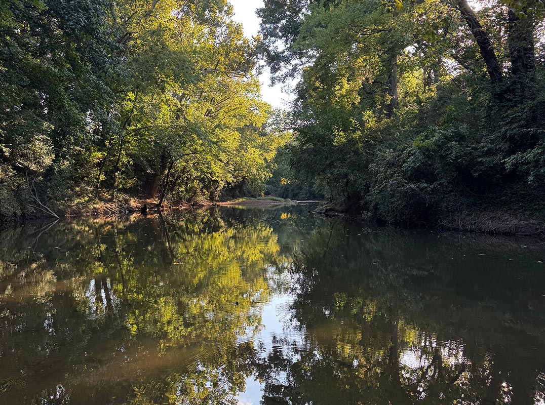 9 Acres in Downtown Franklin