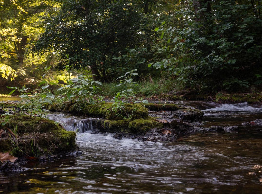 152 Acres on Cold, Clear Water