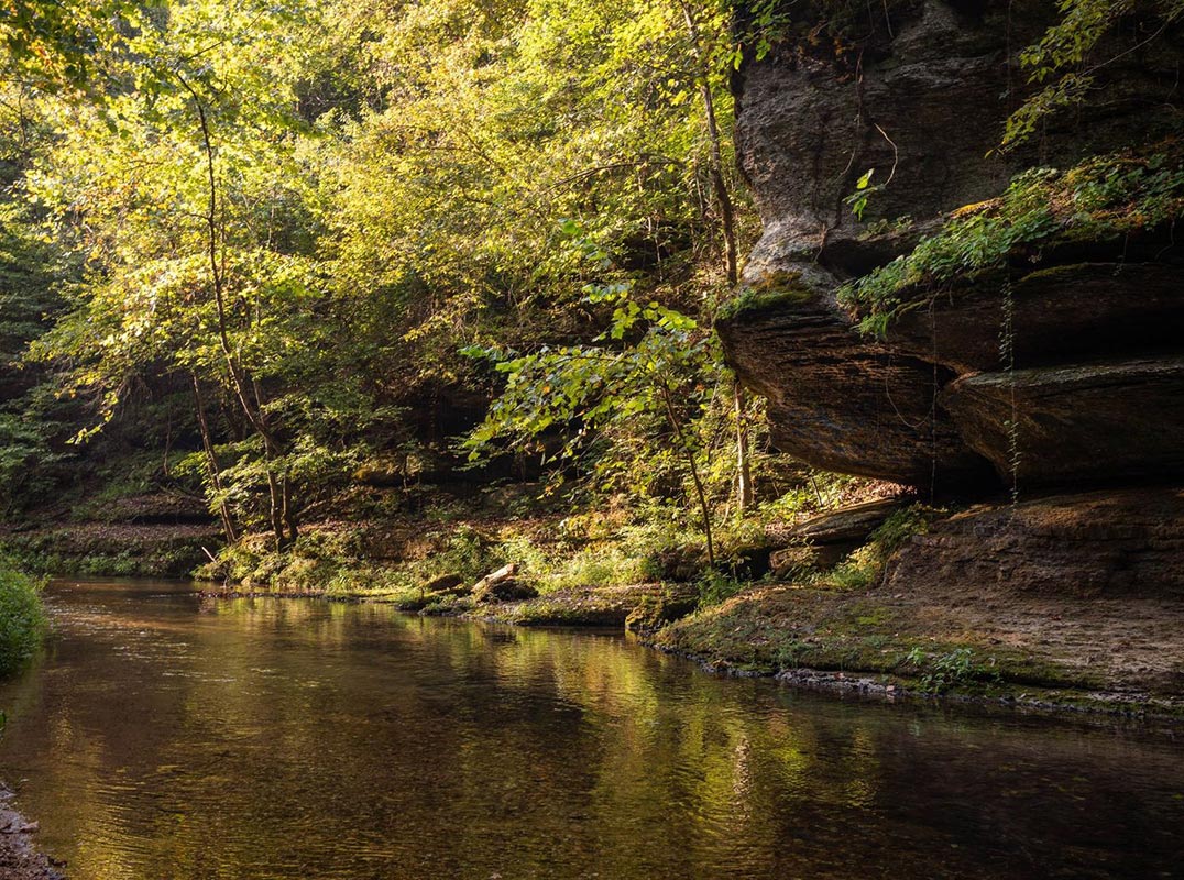 152 Acres on Cold, Clear Water