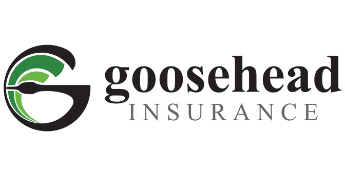 goosehead Insurance