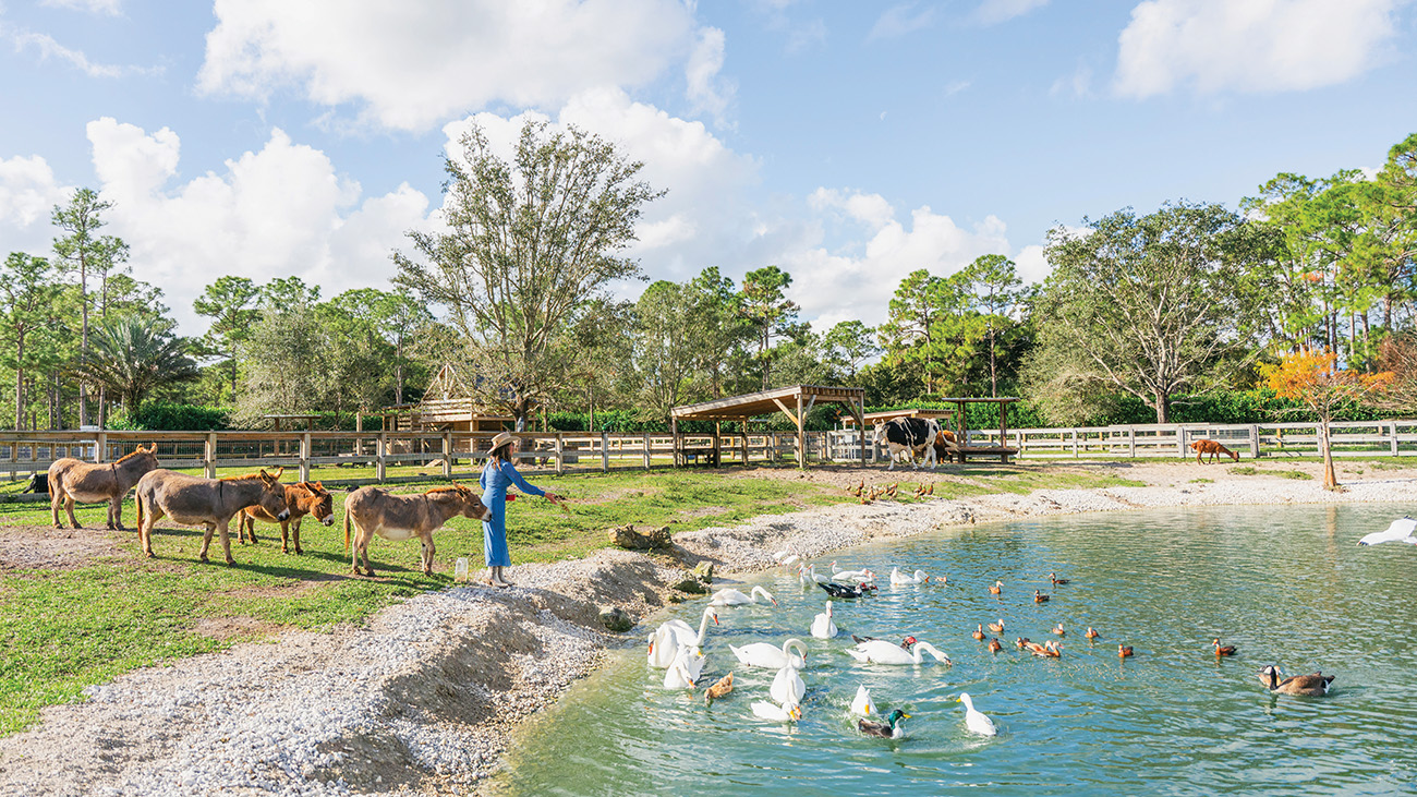 RESCUE LIFE: The Power of the Human-Animal Connection