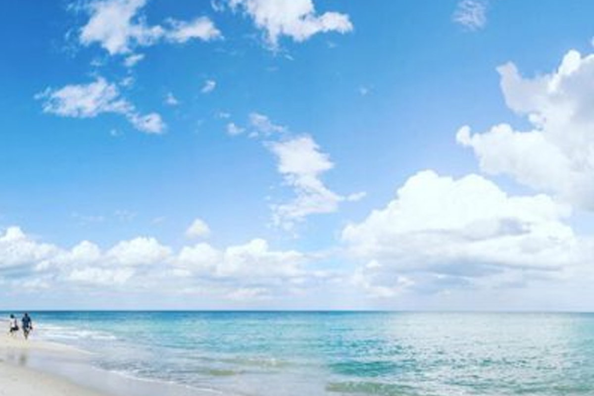 Luxury Palm Beach Home and Places