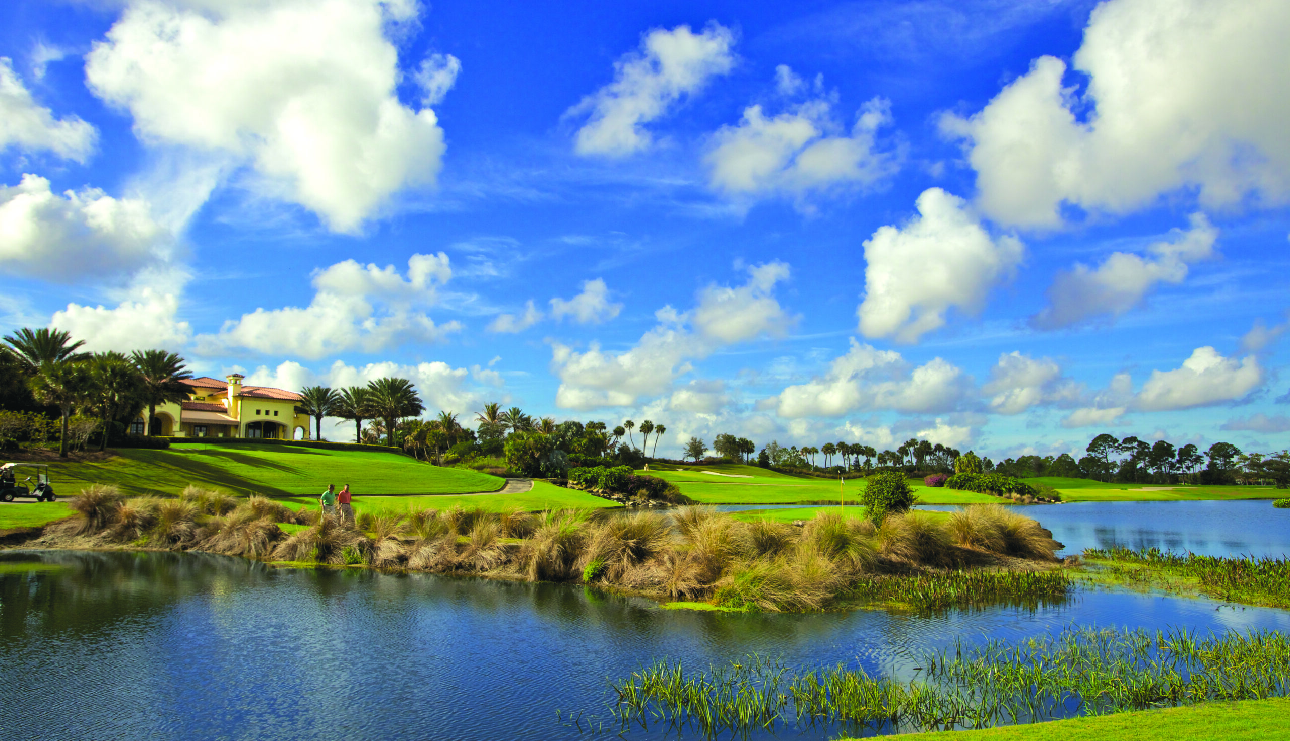 Luxury Palm Beach Home and Places