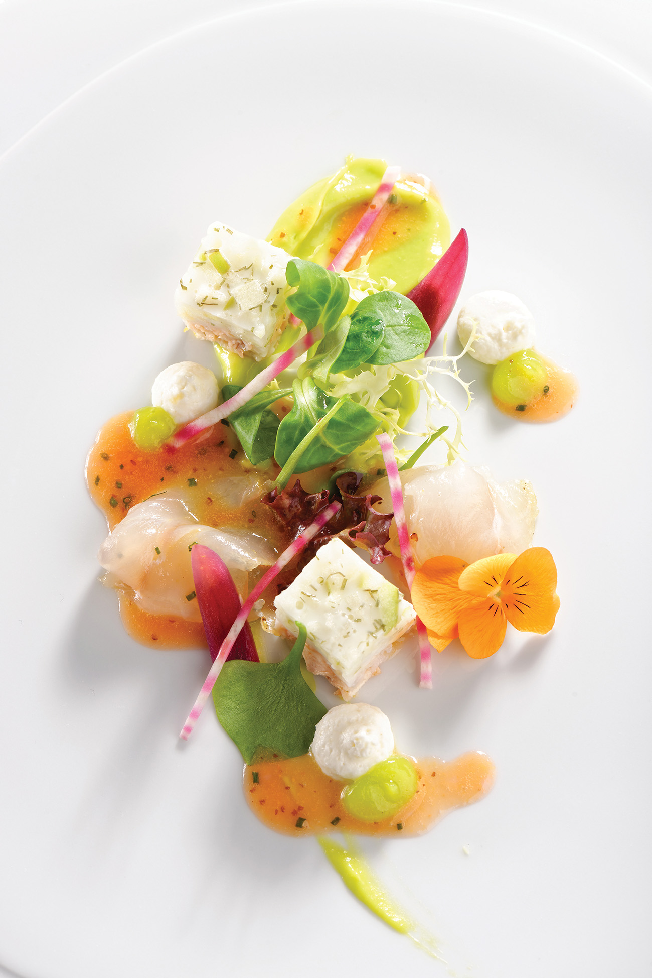 Taste, Elevated: A Gourmet Solution Worth Considering