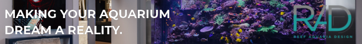 reef aquaria design reef aquaria design