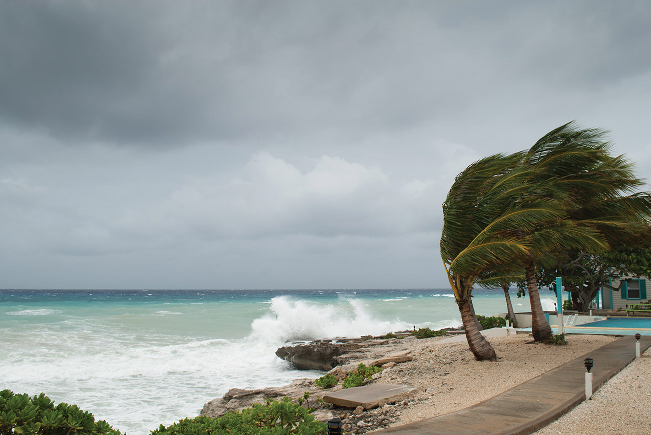 Hurricane-Ready